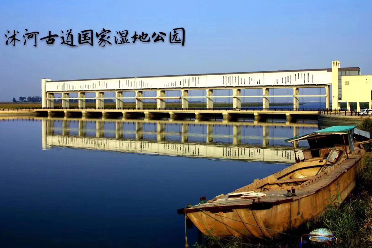 碼頭