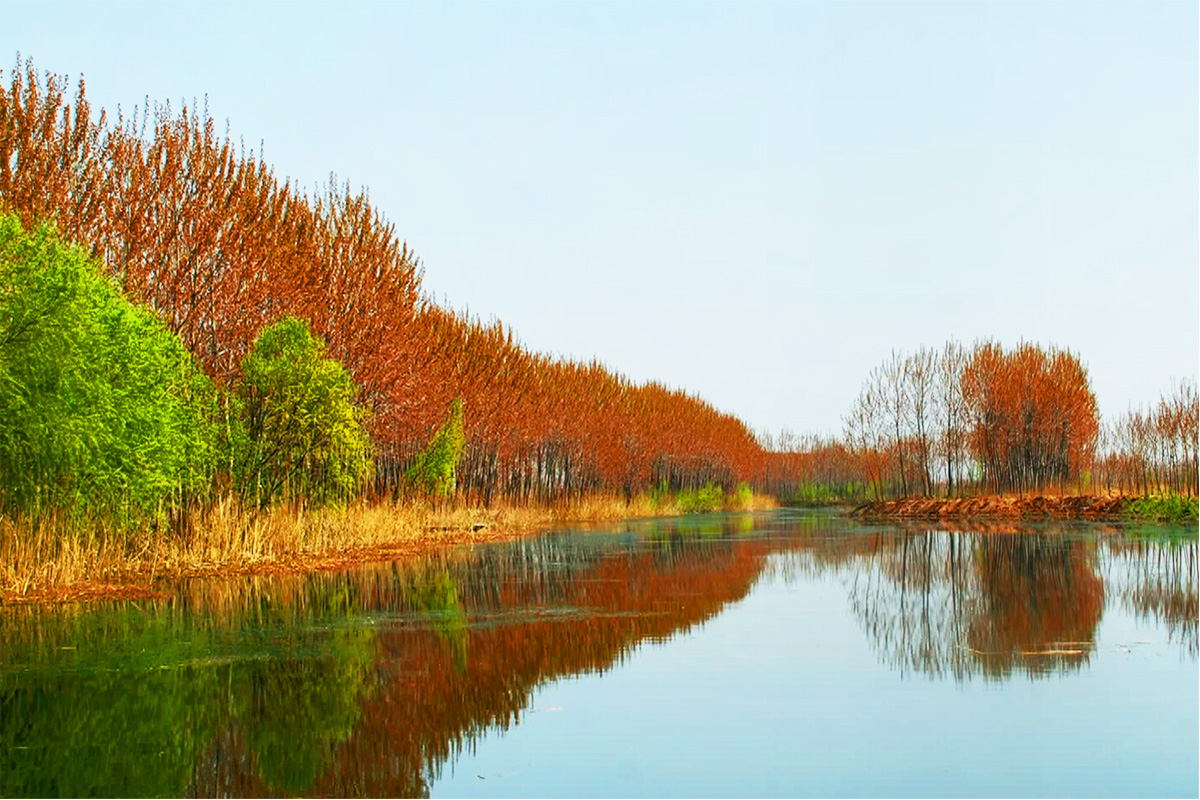 濕地公園
